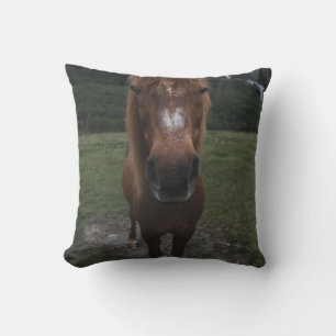 COUSSIN BONJOUR JE SUIS UN CHEVAL