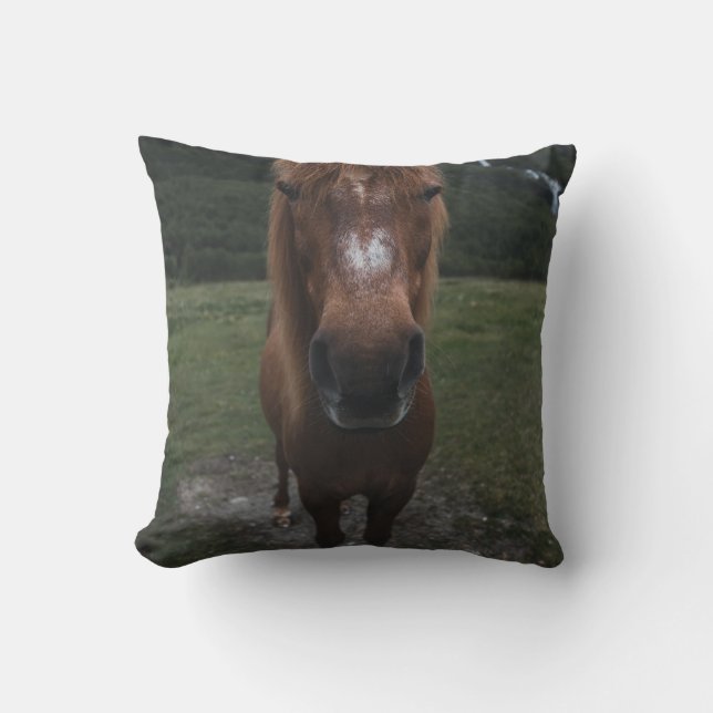 COUSSIN BONJOUR JE SUIS UN CHEVAL (Recto)