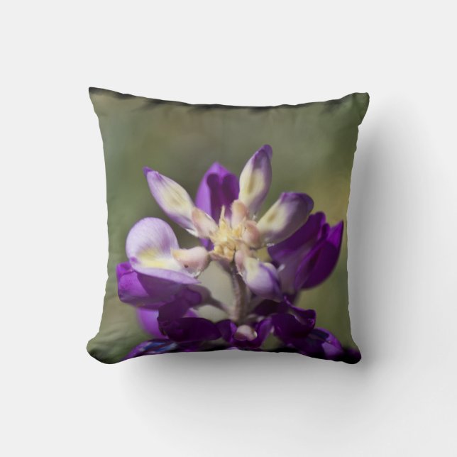 Coussin Bord noir Lupine (Recto)