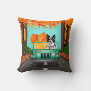 Coussin Bordure Collie Chien Citrouille automne