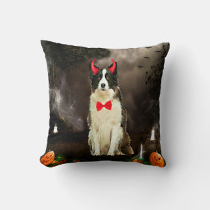 Coussin Bordure Collie Chien dans le costume d'Halloween