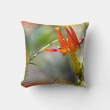 Bordure de flamme de la colonne de Crimson