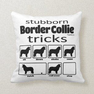 Coussin Bordure tenace Collie Tricks