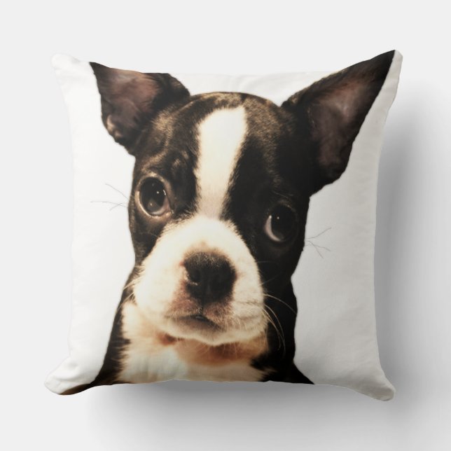 Coussin BoSTON TERRiER (Recto)
