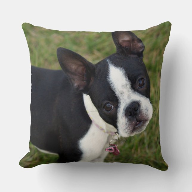 Coussin BoSTON TERRiER (Recto)
