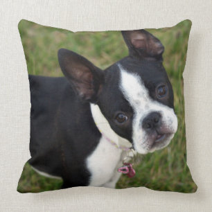 Coussin BoSTON TERRiER