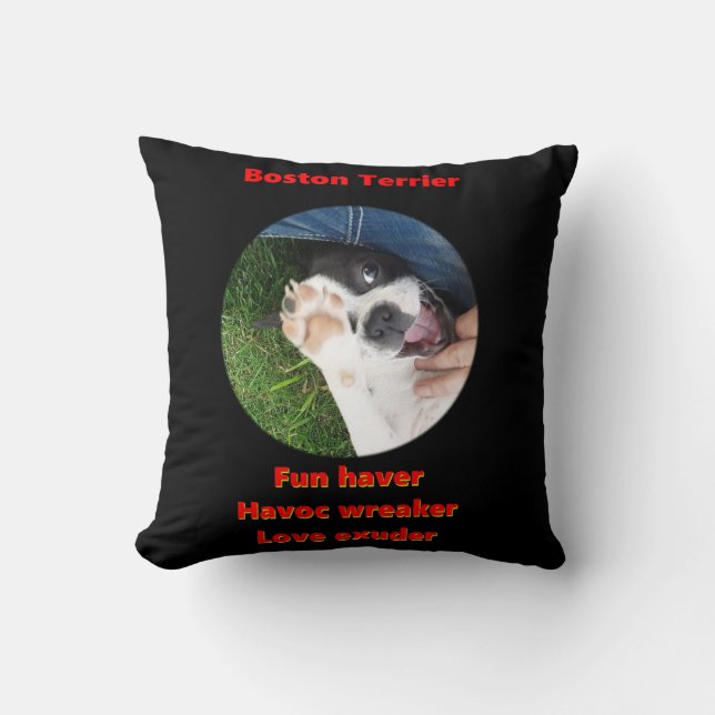 Coussin Boston Terrier - Amuseur (Recto)