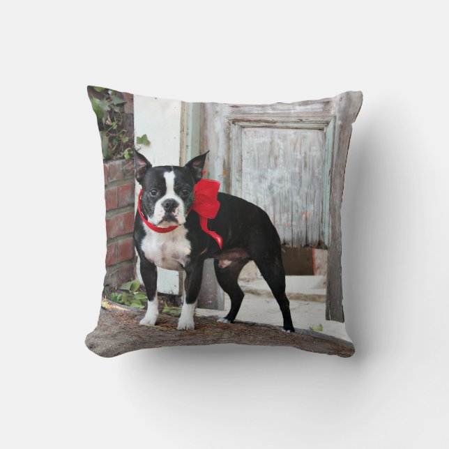 Coussin Boston Terrier - milles (Recto)