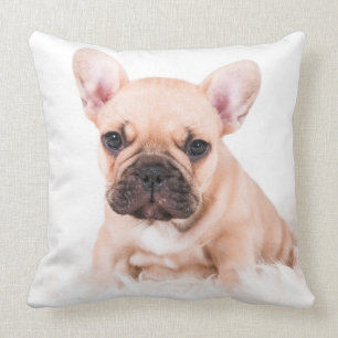 Coussin Bouledogue français