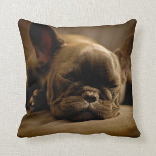 Coussin Bouledogue français somnolent
