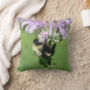 Coussin Bourdon sur une fleur de monarde en gros plan