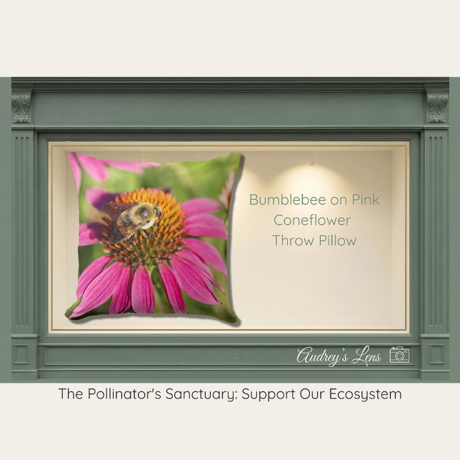 Coussin Bourdon terrestre sur Echinacea rose (Créateur téléchargé)