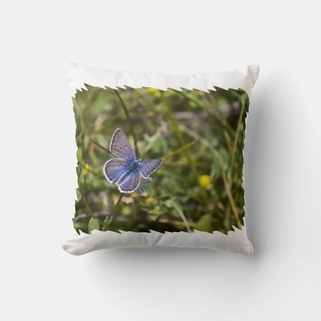 Coussin Bouton bleu Bord blanc (Recto)