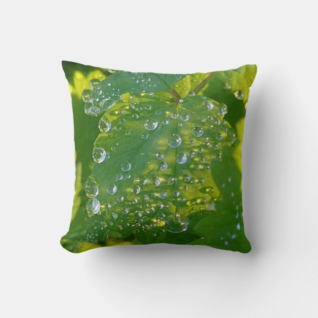 Coussin Boutons cool Sur Feuille Verte (Recto)