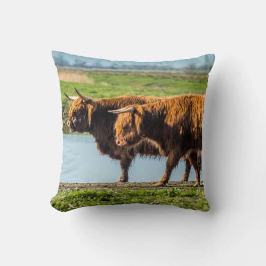 Coussin bovins de Wicken Fen (Recto)