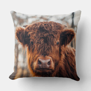Coussin Bovins des Highlands
