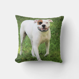 Coussin Boxer
