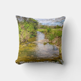 Coussin Branson Fall Creek Stream