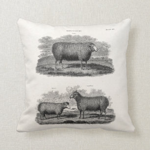 Coussin Brebis vintages d'animaux de ferme de brebis de