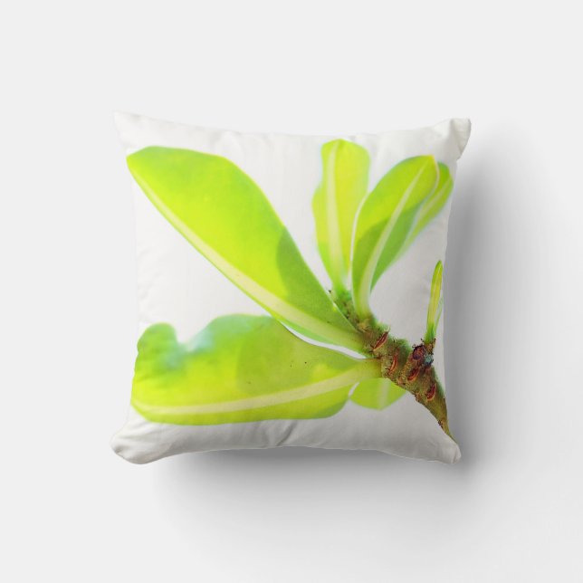 Coussin Bright Green Kudu Lily Feuilles (Recto)