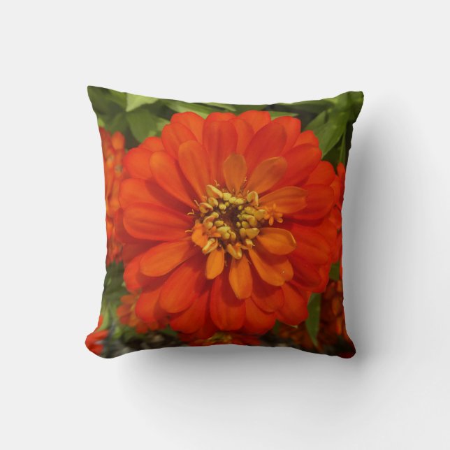 Coussin Bright Red Zinnia Trend  (Recto)