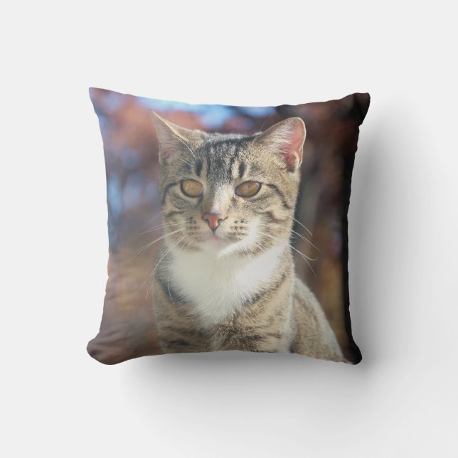 Coussin Brin (Recto)