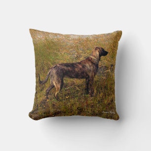 Coussin Brindle Plott Hound in Marsh Thaillow Pillow