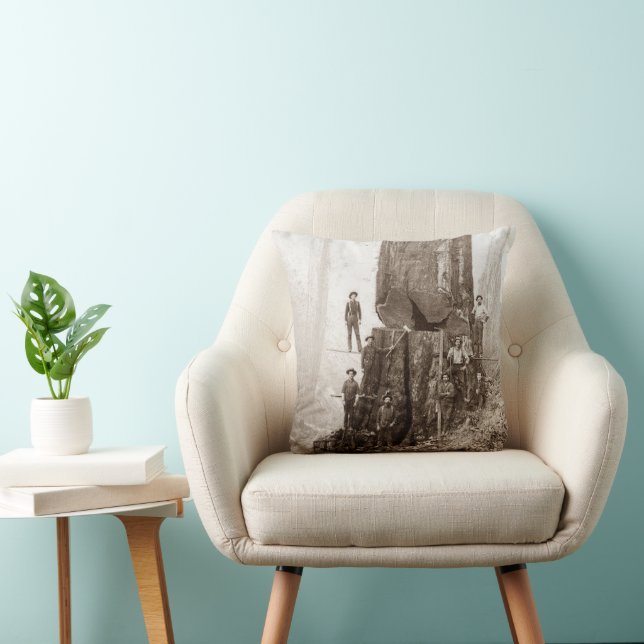 Coussin Bûcherons Américains Vers 1880 (Chaise)