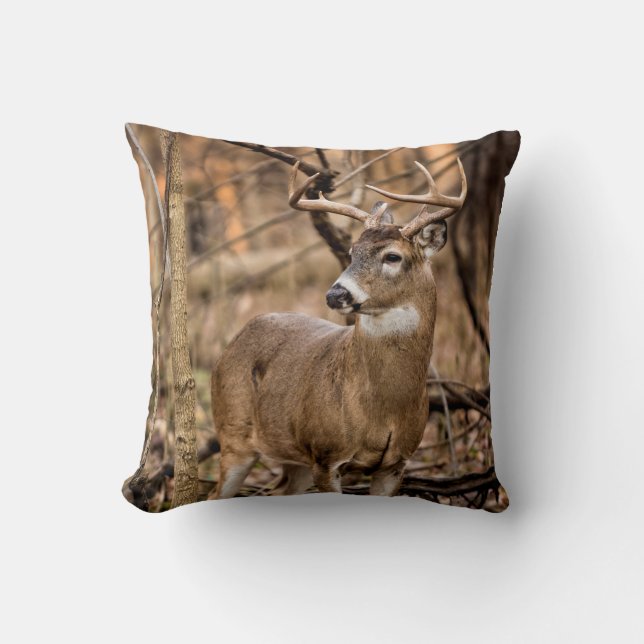 Coussin Buck de cerf à queue blanche (Recto)