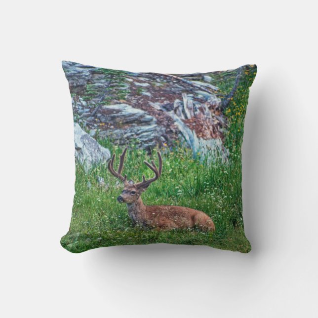 Coussin Buck de lit (Recto)