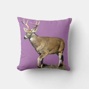 Coussin Buck White Tailed