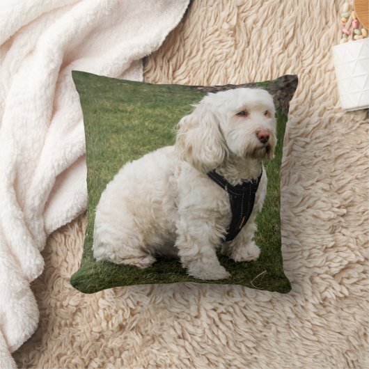 Coussin Buddy (Couverture)