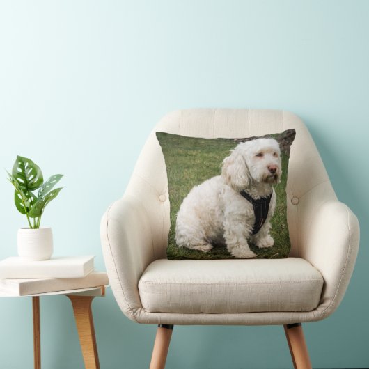 Coussin Buddy (Chaise)