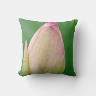 Coussin Bulbe Lily de l'eau non ouverte, Durban Botanique