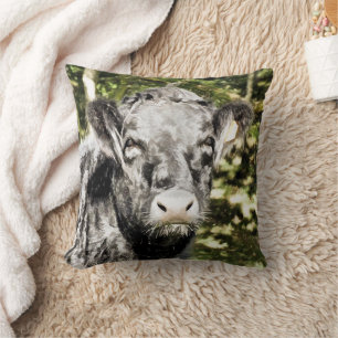 COUSSIN BULL