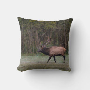 Coussin Bull Elk Morning Walk