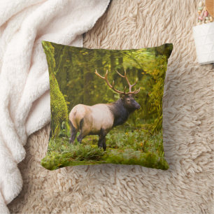 Coussin Bull Roosevelt Elk Debout Dans Le Pré