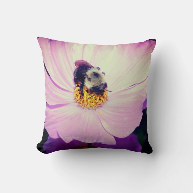 Coussin Bumble Bee On Rose Cosmos Flower Close Up (Recto)