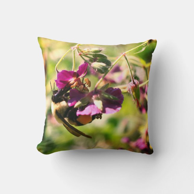 Coussin Bumble Beer Sur Fleur Rose (Recto)