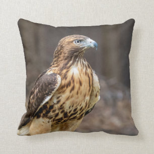 Coussin Buse à queue rousse de la vallée de l'Hudson