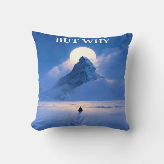 Coussin But Why Throw Pillow Minimal Quote Aesthetic (Recto)