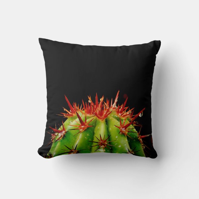 Coussin Cactus (Recto)