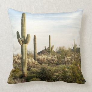 Coussin Cactus de Saguaro, Arizona, Etats-Unis