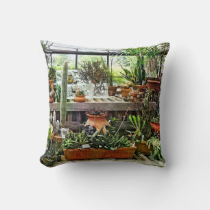 Coussin Cactus en serre