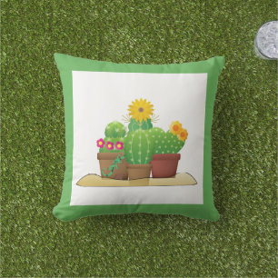 Coussin Cactus Pots Plantes Porches Extérieures Porche Ore