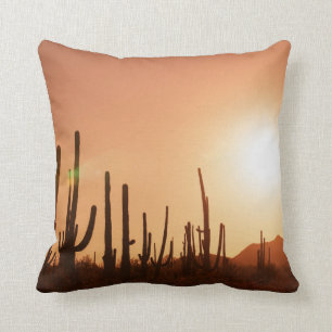 Coussin Cactus sur le désert