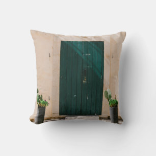 COUSSIN CACTUS VERT PLANTE PRÈS DE PORTE VERTE