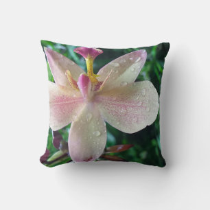 COUSSIN CADEAU DE NOËL POUR FEMMES, PETITE AMIE MAMAN