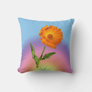 Coussin - Calendula et Rainbow