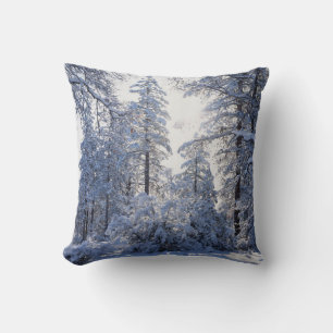 Coussin Californie, forêt nationale de Cleveland, Laguna 1